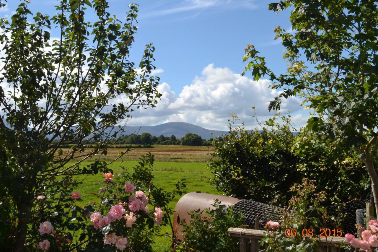 Annaswood B&B แคร์ ภายนอก รูปภาพ